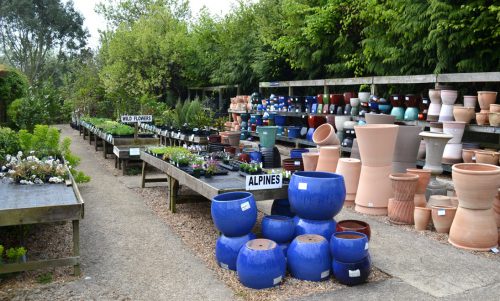 The National Herb Centre – A wonderful garden centre that has something ...